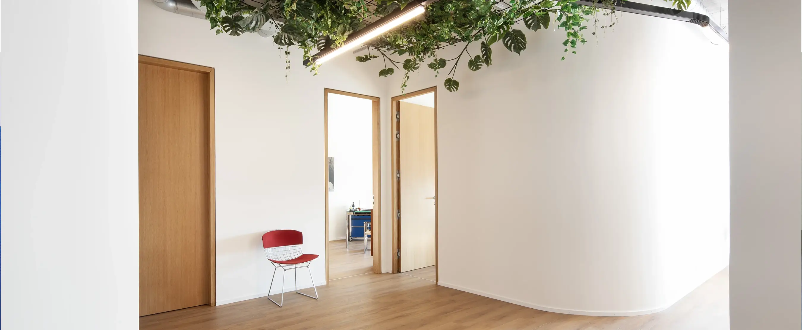 Locaux Vaney Avocat